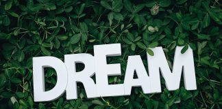 What’s your dream life?