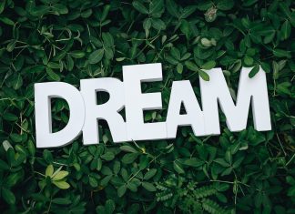 What’s your dream life?
